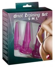 Kit 3 plug Anali Training Set purple anal