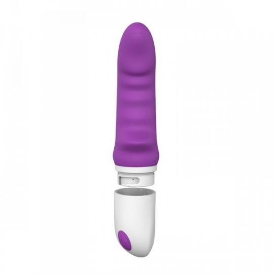 Dildo vibrante fallo vaginale realistico per punto G sex toys impermeabile per donna purple