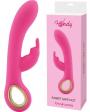 Stimolatore vaginale doppio per clitoride Vibratore rabbit in silicone ricaricabile viola